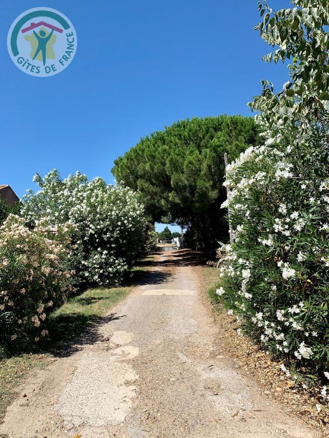 Appartamento Mas De Plisset Saint-Gilles  Esterno foto