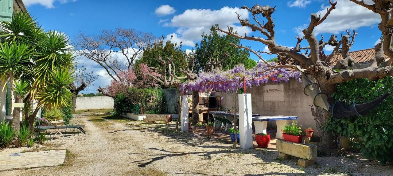 Appartamento Mas De Plisset Saint-Gilles  Esterno foto