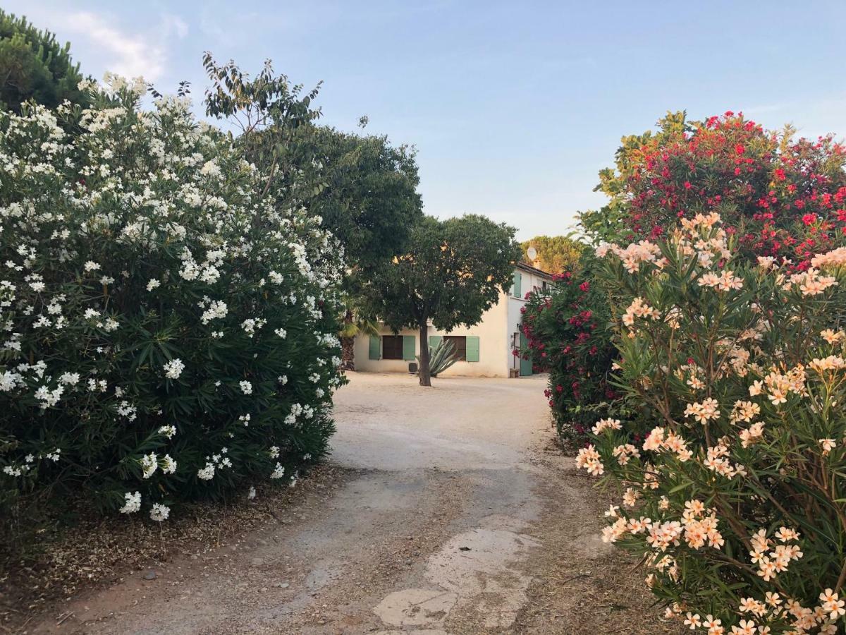 Appartamento Mas De Plisset Saint-Gilles  Esterno foto